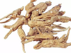 你見過三七嗎 揭秘三七配天麻 西洋參 當歸的神奇功效