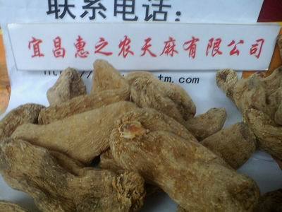 惠之農(nóng) 野生天麻精品包裝_天麻種子_天麻種植_宜昌惠之農(nóng)天麻 - 商國(guó)互聯(lián)網(wǎng)