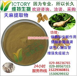 西安維特生物科技 多圖 天麻提取物安眠 天麻提取物高清圖片 高清大圖