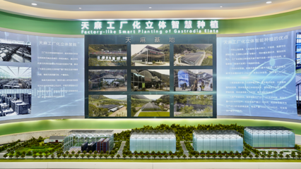 高質(zhì)量發(fā)展看漢中 | 天麻之城:略陽(yáng)示范園展現(xiàn)中藥材的未來之路