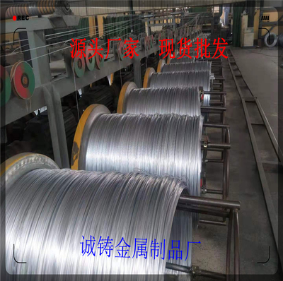 衡水市熱鍍鋅鋼絲廠